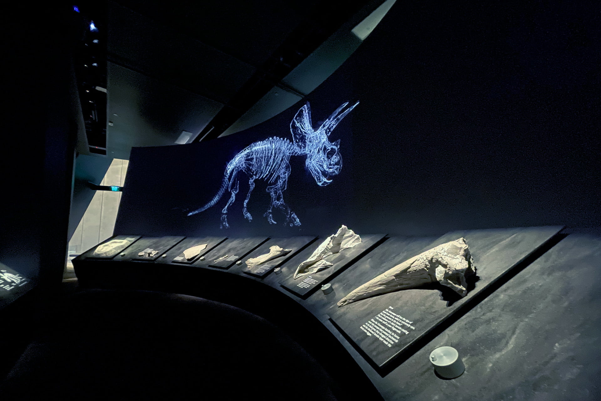 Image 1 for Triceratops